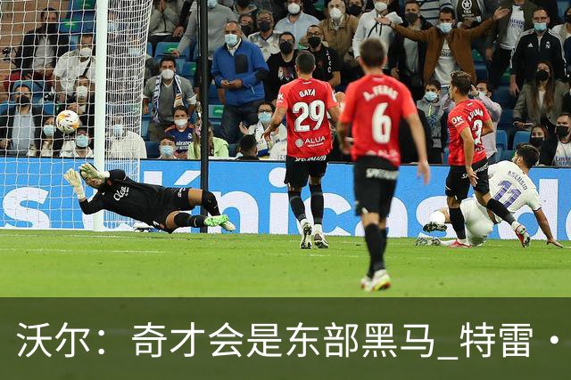 沃尔：奇才会是东部黑马 特雷·杨和浓眉有实力关键看健康